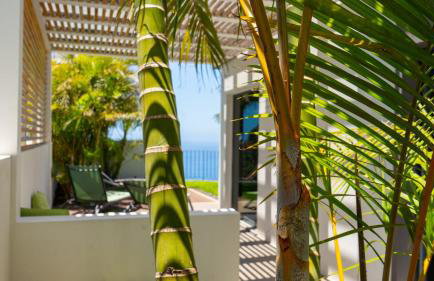 Villa Calhau- Hidden Gem by LovelyStay - Foto 32