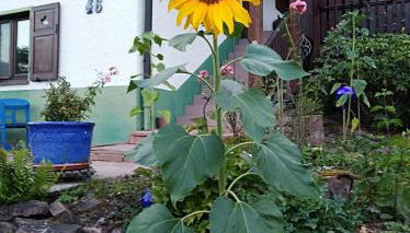 La casita linda - Photo 2