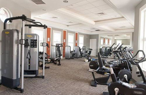 Solterra Magic - Foto 15