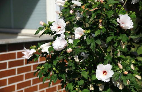 Mitten im Seenland und Spreewaldnah, schöner Garten - Foto 25