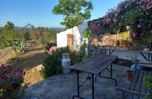 Vale de Garcia AL 5357 - Foto 34