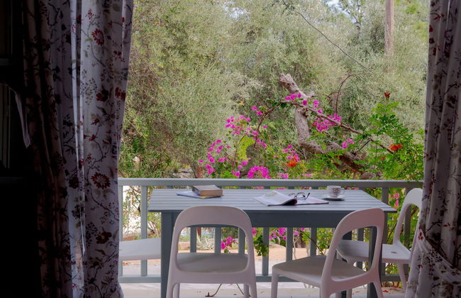 Mihaila Bungalows - Foto 1