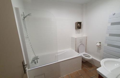 Vitis Vinifera - Foto 16