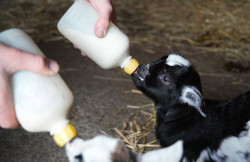 The Round House - Foto 36