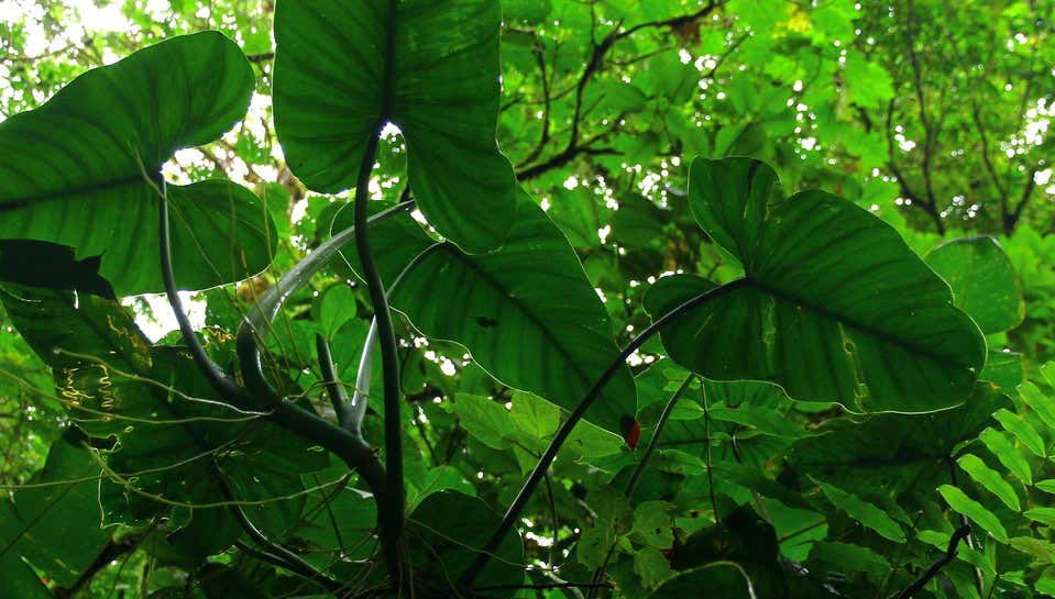 Excursión a Santa Elena y Cuevas Palestinas