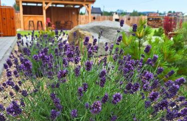 Szczyt Beztroski- Domki Wellness Balia & Sauna - Foto 15