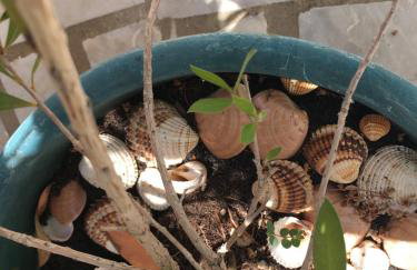 Apartmani Roxy - Foto 50