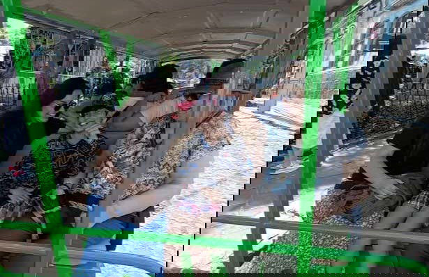 Tour of Mexico City's San Ángel Neighborhood - Foto 7