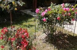 Appartamento tra il borgo e il lago - Foto 10