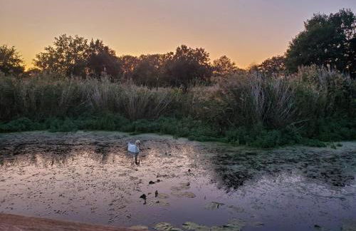 Traumhaus-auf-dem-Wasser-Modernisiertes-Hausboot-13-x-4-m - Foto 21
