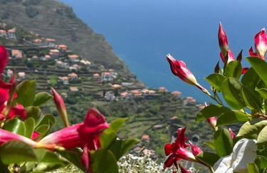 Tropical House - Foto 33