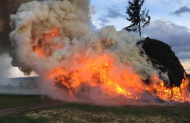 Appartement Max - Foto 64