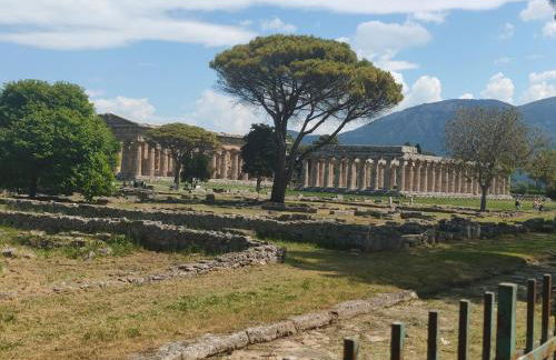 IL GIARDINO DI ATHENA - Foto 10