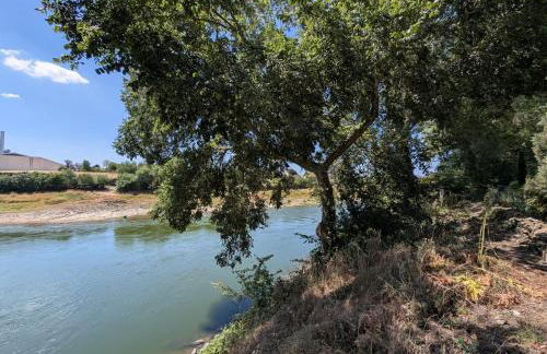 Le gite de l'ile du Buzet - Photo 9