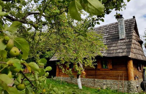 Jabłoniowa Chatka - Foto 16