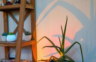 Rose Ranch - Charming Country Home - Foto 34