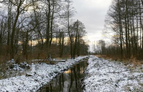 Masuria Warsaw Family - dom na wyłączność - w lesie i przy rzece - 15 min od Warszawy - idealny dla rodzin z dziećmi - Foto 64