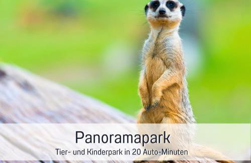 Ferienwohnung im Sauerland Hunde willkommen Kamin und Garten am Waldrand Muehls-Sauerland - Foto 58