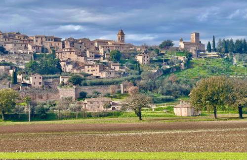 La Casa dell'Abate di Collepino - Spello - Foto 77