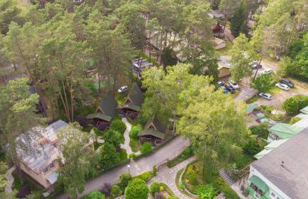 Ośrodek Wypoczynkowy Puszczyk Domek Akacjowy- Apartament -Willa - Foto 21