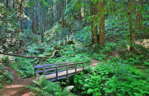 Stunning Oceanview Coastal Home Beach Trails Family Activities - Foto 25