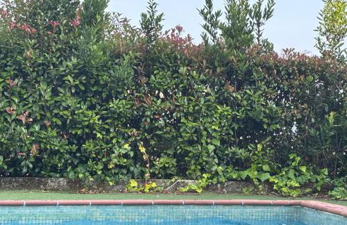 Mirador playa do Con, Chill-Out de lujo, vistas al mar, con piscina y parking gratis - Foto 20