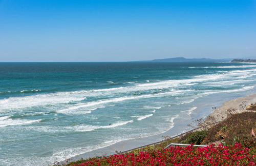 SandyToes-SunKist Nose-CHAT2 - Foto 26