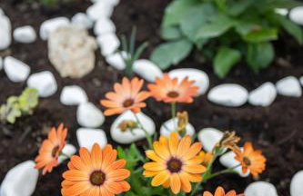 S&V Luxury Apartment - Photo 25