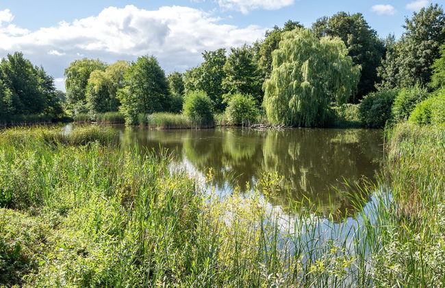 "Elvine" - 2.9km from the sea - Foto 23