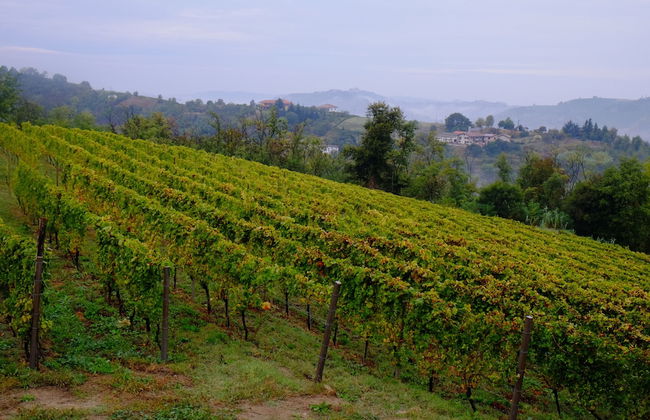 Agriturist Rupestr - Photo 10