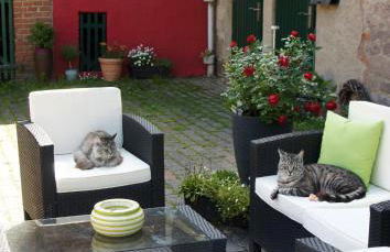 Eichenhof Kalletal - Photo 10