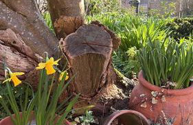 Beehive Cottage - Photo 4