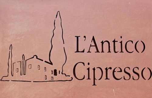 L'Antico Cipresso - Foto 72