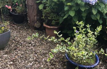 PondeROSEa Cottage Free Gated Parking M1 & City location, wood stove - Foto 6