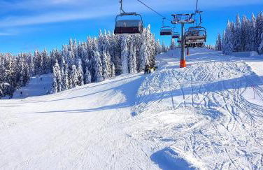 Residenz Grafenmatt Feldberg - Foto 38