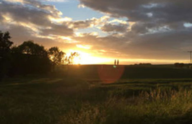 Hof Kiebitz - In Ostrau - Foto 24