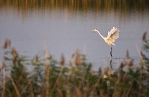 Ferienhaus Tura - Foto 47