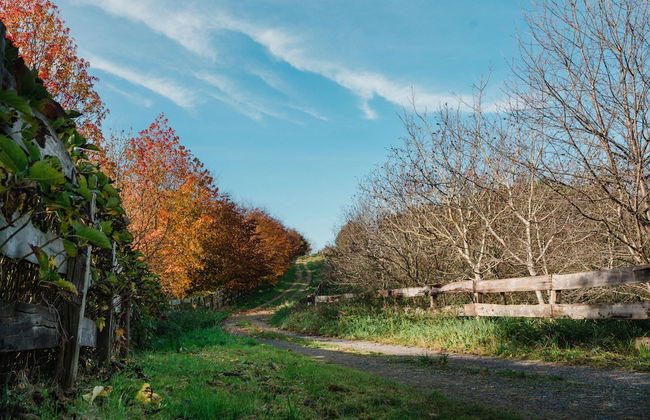 Posada Somavilla - Foto 28