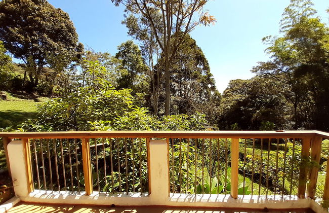 Casa Jade - Photo 11