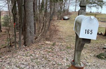 Roscoe Pine House - Foto 25