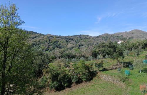 I Corbezzoli - Foto 7