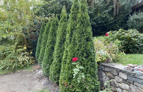 California guest house - Foto 4