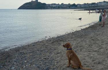 Porthyraur castle view, beach, parking,EV point Pet friendly - Foto 45