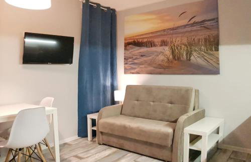 Baltic Studio 45 - Photo 12