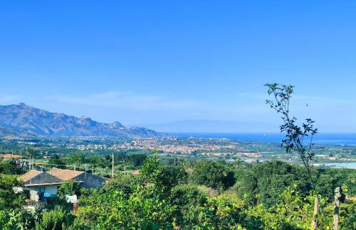 Il Limoneto di Leo - Foto 52