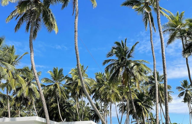 Mandala Villas - Foto 30