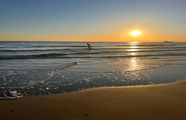 Sunny Zeeland Getaway - Photo 24