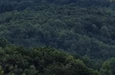 Kod Slaveka - Foto 45