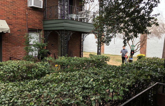 Memphis Belvedere Suites - Foto 49