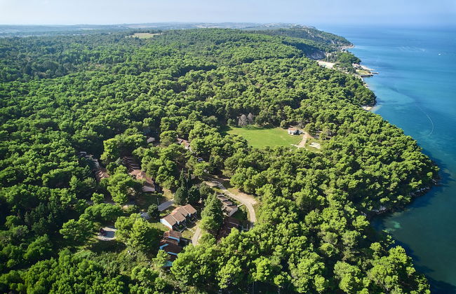 Apartments Kanegra Plava Laguna - Foto 42